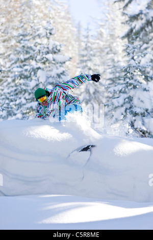 Un snowboarder rides frais profonde poudreuse à travers une forêt. Banque D'Images
