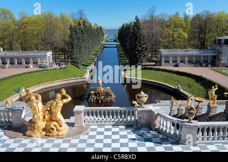 Grande cascade, Vue du palais de Peterhof, terrasse, près de Saint-Pétersbourg, Russie Banque D'Images