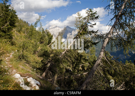 Les Alpes Juliennes en Slovénie Banque D'Images