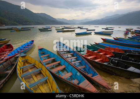 Bateaux en bois sur le Lac Fewa Tal (Phewa), Pokhara, Népal, Asie Banque D'Images