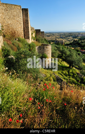 L'Europe, l'Espagne, l'Estrémadure, Trujillo, vue du vieux château historique Banque D'Images