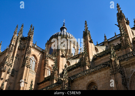 L'Europe, Espagne, Castille et Léon, Salamanque, vue sur cathédrale Banque D'Images