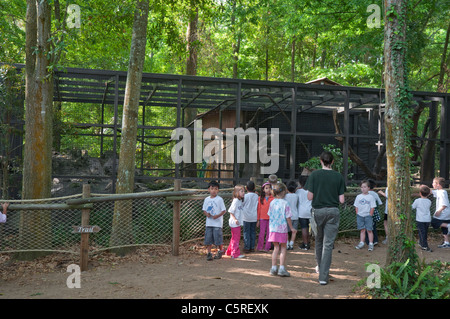 Santa Fe College Zoo Enseignement Gainesville en Floride. Les enfants de l'école de visiter le zoo. Banque D'Images