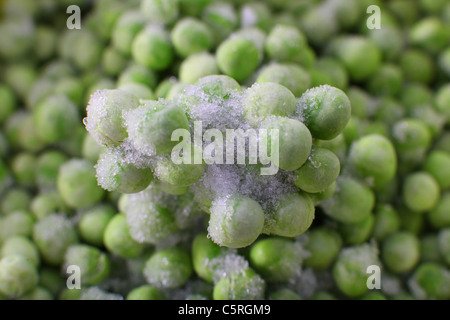 Close-Up Petits pois congelés. Banque D'Images