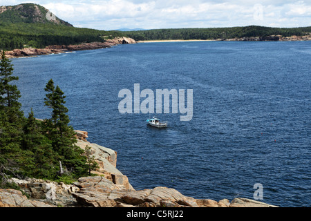 Un langoustier ayant tendance à ses vases au large de la côte de l'Acadia National Park, Mount Desert Island, Maine, USA. Banque D'Images