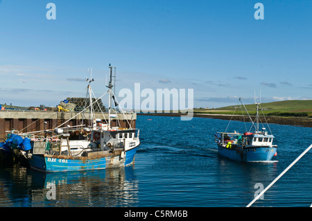 Dh Tingwall RENDALL PORT DE PÊCHE BATEAU ORKNEY crabe arrivant au port pêcheur uk Banque D'Images