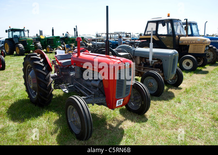 Massey Ferguson 290 St Buryan vintage rally de tracteur Banque D'Images