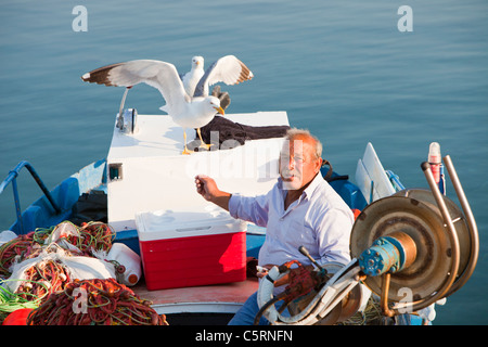 Un vieil homme rss goélands jaune sur un bateau de pêche traditionnel grec de Skala Eresou, Lesbos, Grèce. Banque D'Images