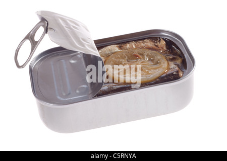 Peut de sardines isolé sur le livre blanc Banque D'Images