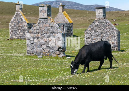 Le village abandonné de Eòrasdail sur l'île de Vatersay dans les Hébrides extérieures. Banque D'Images