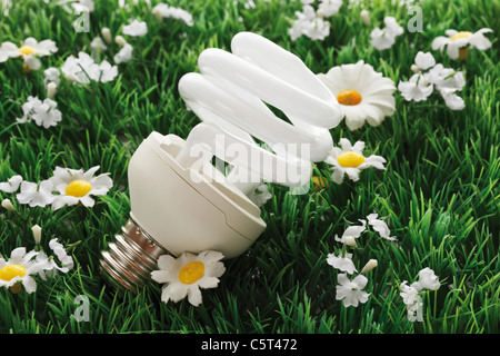 Energy Saving lightbulb sur gazon synthétique, close-up Banque D'Images