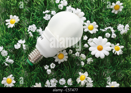 Energy Saving lightbulb sur gazon synthétique, elevated view Banque D'Images