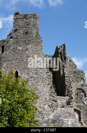 République d'Irlande, dans le comté de Louth, péninsule de Cooley, Carlingford, vue de King John's Castle Banque D'Images