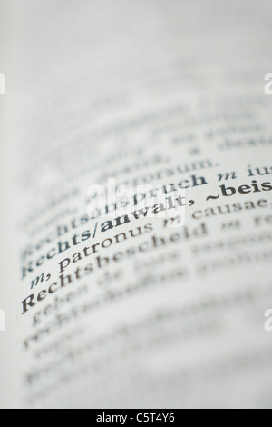 Extreme close up de la page dictionnaire Banque D'Images