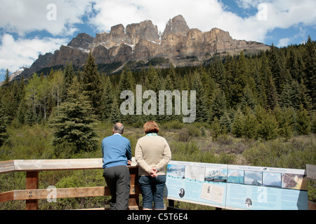 Castle Mountain dans le parc national de Banff Banque D'Images