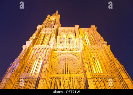 France, Alsace, Strasbourg, vue de la cathédrale Notre Dame de nuit Banque D'Images