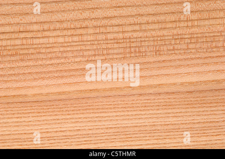 La surface de bois, bois de l'orme (Ulmus campestris) full frame Banque D'Images