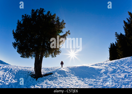 Allemagne, Bavière, Blomberg, femme la randonnée sur la montagne haut de Zwiesel Banque D'Images