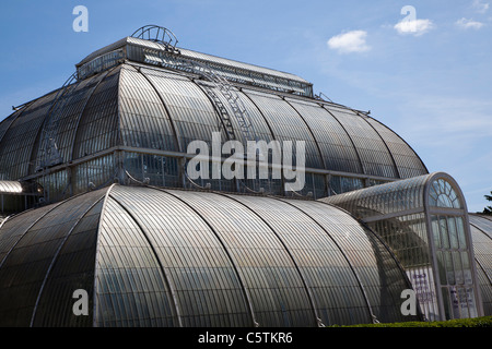 La Palm House, Jardins botaniques royaux de Kew, Richmond, Surrey, Londres Banque D'Images