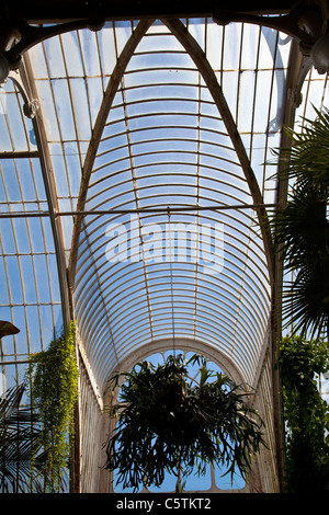 La Palm House, Jardins botaniques royaux de Kew, Richmond, Surrey, Londres Banque D'Images