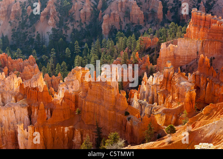 USA, Utah, le Parc National de Bryce Canyon, Sunrise Banque D'Images