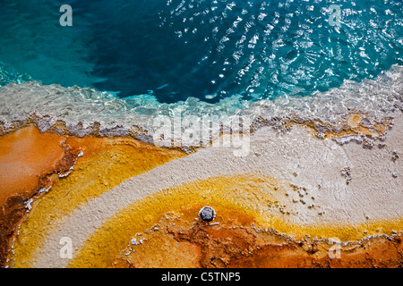 USA, le parc de Yellowstone, Hot spring, Black Pool, close-up Banque D'Images