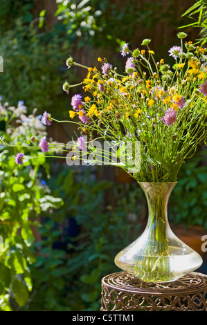 L'Autriche, Salzburger Land, fleurs coupées en vase en verre sur table, Close up Banque D'Images