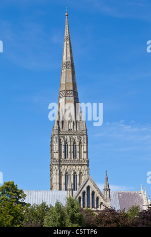 La cathédrale de Salisbury Wiltshire England UK GB EU Europe Banque D'Images