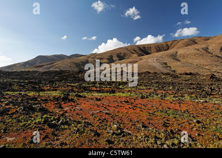 Espagne, Canaries, Fuerteventura, Barranco Valle de la Cueva, Los Toneles, View of landscape Banque D'Images