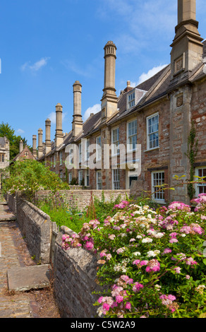 Près des vicaires Wells Somerset England GB UK EU Europe Banque D'Images