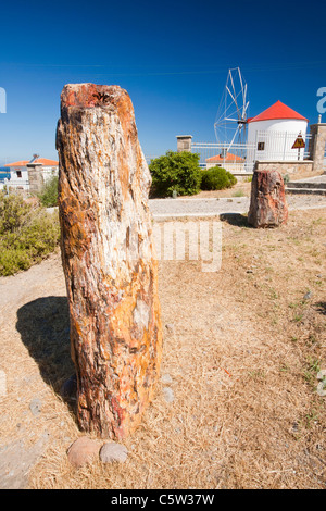 Un arbre fossilisé de la célèbre à la forêt pétrifiée de Lesbos le musée de la forêt pétrifiée de Lesbos, en Grèce, Sigri. Banque D'Images