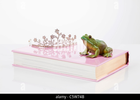 Figurine de grenouille et de la couronne sur le livre Banque D'Images