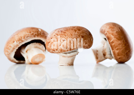 Trois champignons Banque D'Images