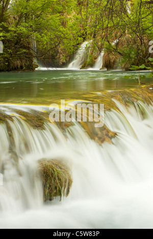 Petite cascade ou gifle de Milanovac Lake dans le Plitvicka Jezera ou le parc national des Lacs de Plitvice en Croatie Banque D'Images