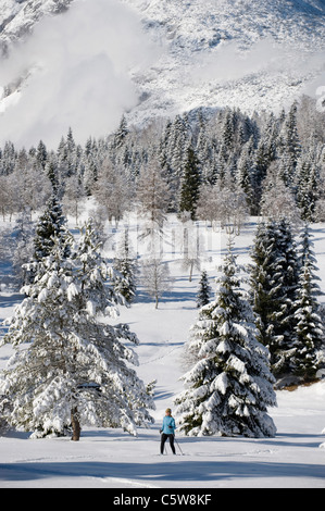 Autriche, Tyrol, Seefeld, Wildmoosalm, femme, ski de fond Banque D'Images