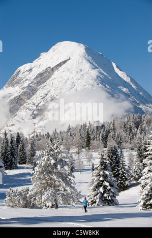 Autriche, Tyrol, Seefeld, Wildmoosalm, femme, ski de fond Banque D'Images