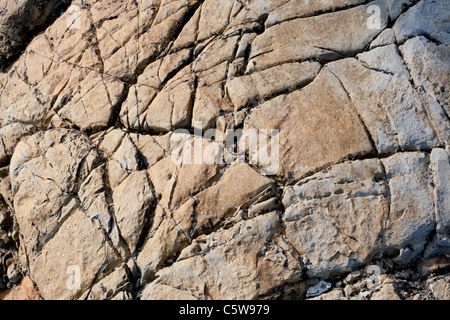 Rock texture à Kimmeridge Bay, Dorset, Angleterre Banque D'Images