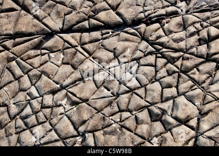 Rock texture à Kimmeridge Bay, Dorset, Angleterre Banque D'Images