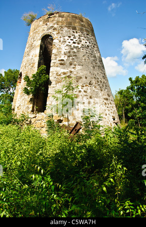 Ruine de moulin de canne à sucre, Seatons Glanville, Antigua Banque D'Images