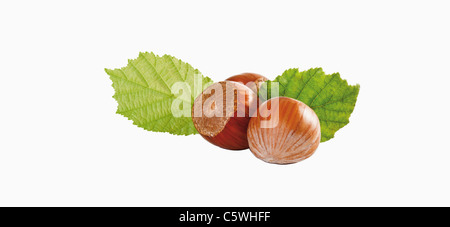 Les noisettes avec des feuilles sur fond blanc, Close up Banque D'Images