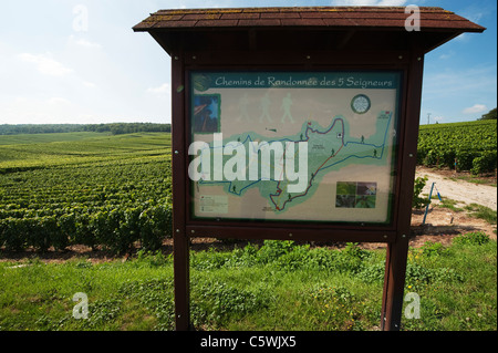 Les randonneurs à vélo signe autour du vignoble Champenois à Chigny les roses sur la Montagne de Reims en France Banque D'Images