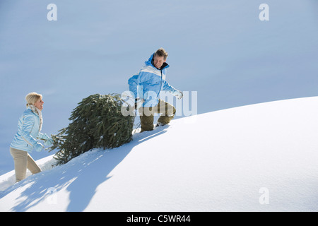 Germany, Berlin, young woman carrying Christmas Tree in snow Banque D'Images