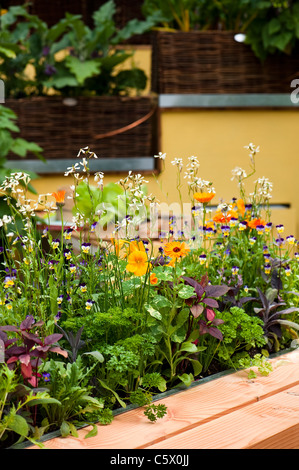 La Burgon & Ball 5 par jour au Jardin 2011 Hampton Court Palace Flower Show, UK Banque D'Images