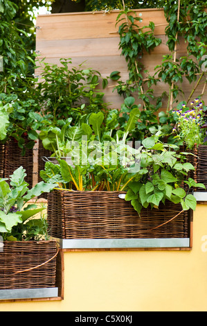 La Burgon & Ball 5 par jour au Jardin 2011 Hampton Court Palace Flower Show, UK Banque D'Images