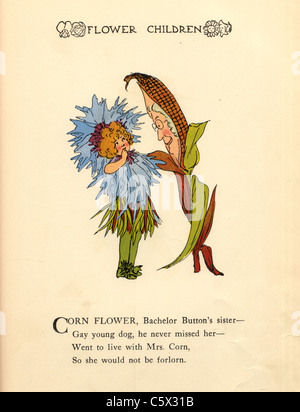 Fleur de maïs - Flower Child Illustration d'un livre ancien Banque D'Images