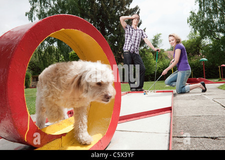 Allemagne, Bavière, Ammersee, Young couple playing mini-golf, le chien en premier plan Banque D'Images