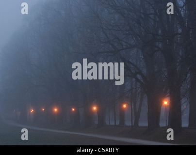 L'Autriche, Salzkammergut, Mondsee, Alley avec lampes à foggy night Banque D'Images