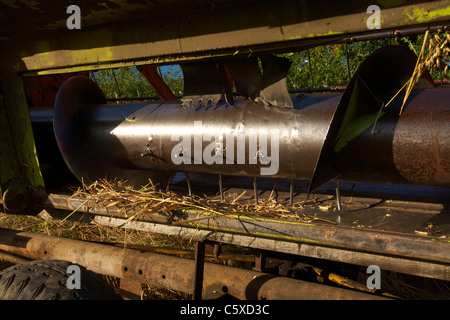 Moissonneuse-batteuse Claas Dominator chef close up Banque D'Images