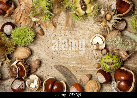 Automne décoration frontière avec les châtaignes, noix, noisettes, glands et feuilles Banque D'Images