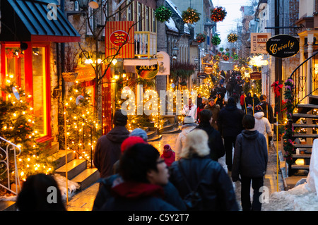 Rue Du Petit Champlain Lumières de Noël d'hiver illuminées Québec Ville Canada | QUÉBEC CITY, Canada — Les piétons défilent devant des pins illuminés et des ornements suspendus le long de la Rue du Petit-Champlain pendant la saison des fêtes hivernales. Décrite comme la plus ancienne rue commerciale d'Amérique du Nord, cette étroite voie pavée était connue sous le nom de Rue des Meulles dès 1688 et ses maisons en pierre ont été reconstruites entre 1725 et 1760 pour se protéger contre les incendies. Le quartier a été sauvé de la démolition dans les années 1970 lorsque l'architecte Jacques de Blois et l'homme d'affaires Gerry Paris ont acquis et restauré environ vingt-f Banque D'Images